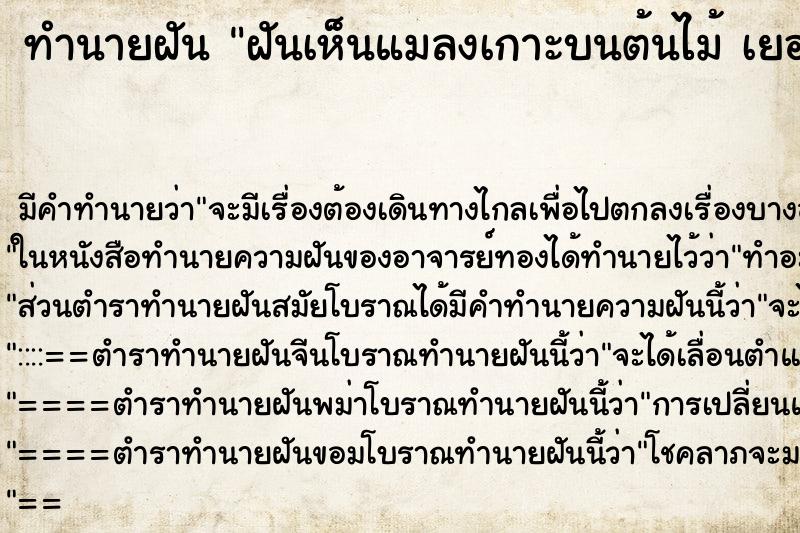 ทำนายฝันฝันเห็นแมลงเกาะบนต้นไม้เยอะมาก ทำนายฝันทำนายฝันฝันเห็นแมลงเกาะบนต้นไม้เยอะมาก